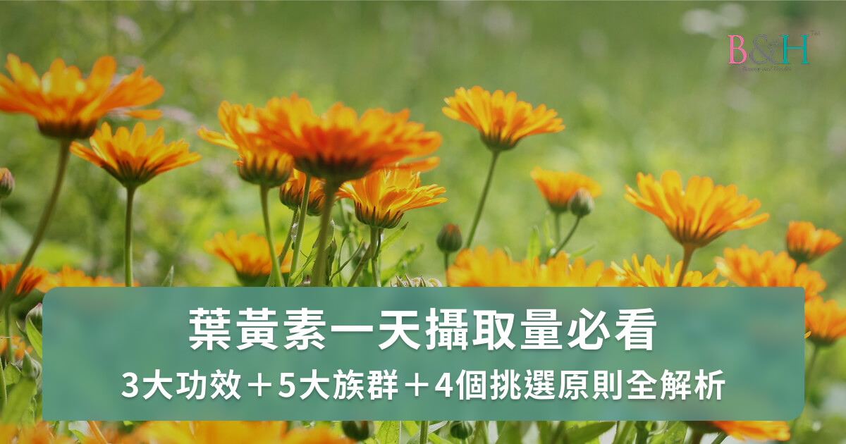 葉黃素一天攝取量多少？功效、適用族群、挑選原則及補充時機全解析